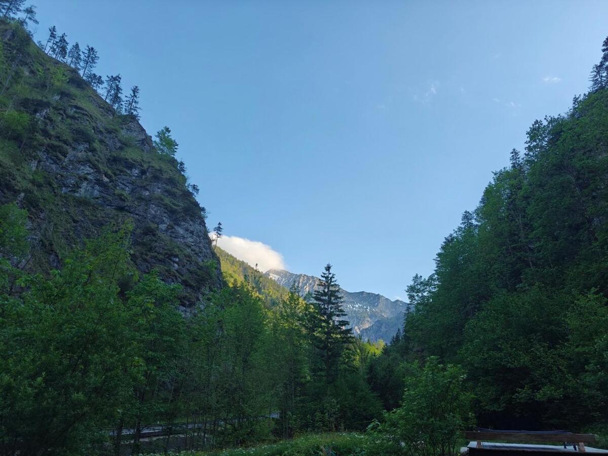 Idyllic Mountain Huette -Gesaeuse Nationalpark Villa Landl  Dış mekan fotoğraf