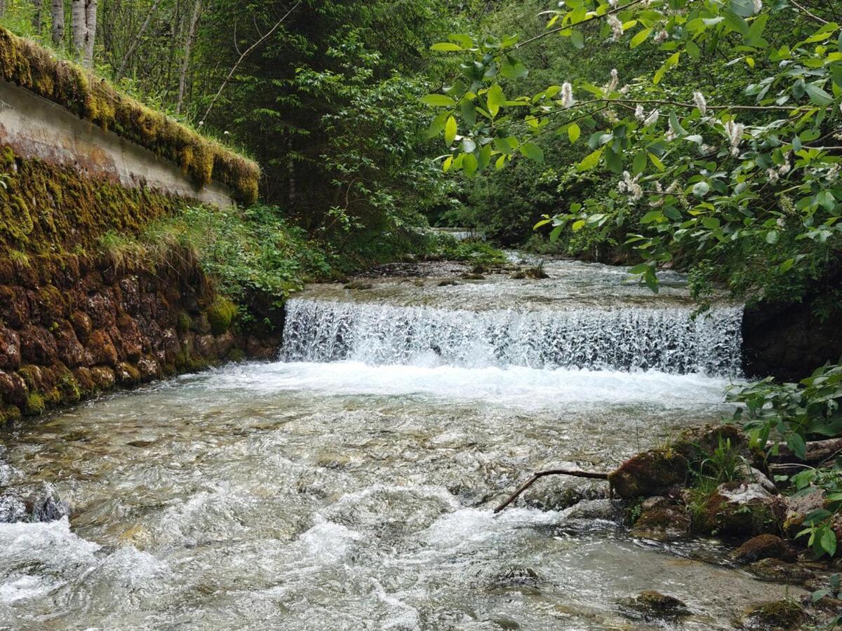 Idyllic Mountain Huette -Gesaeuse Nationalpark Villa Landl  Dış mekan fotoğraf