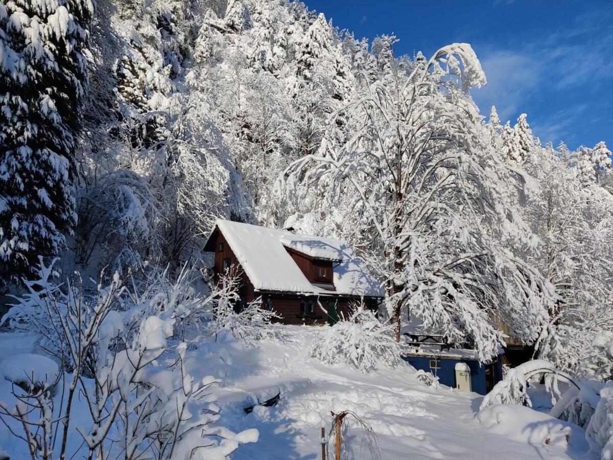 Idyllic Mountain Huette -Gesaeuse Nationalpark Villa Landl  Dış mekan fotoğraf