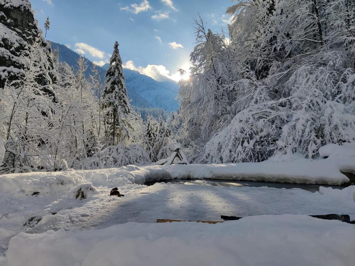 Idyllic Mountain Huette -Gesaeuse Nationalpark Villa Landl  Dış mekan fotoğraf