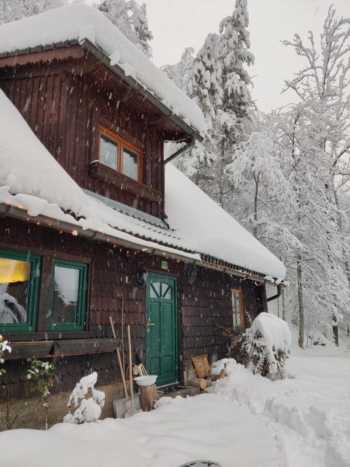 Idyllic Mountain Huette -Gesaeuse Nationalpark Villa Landl  Dış mekan fotoğraf
