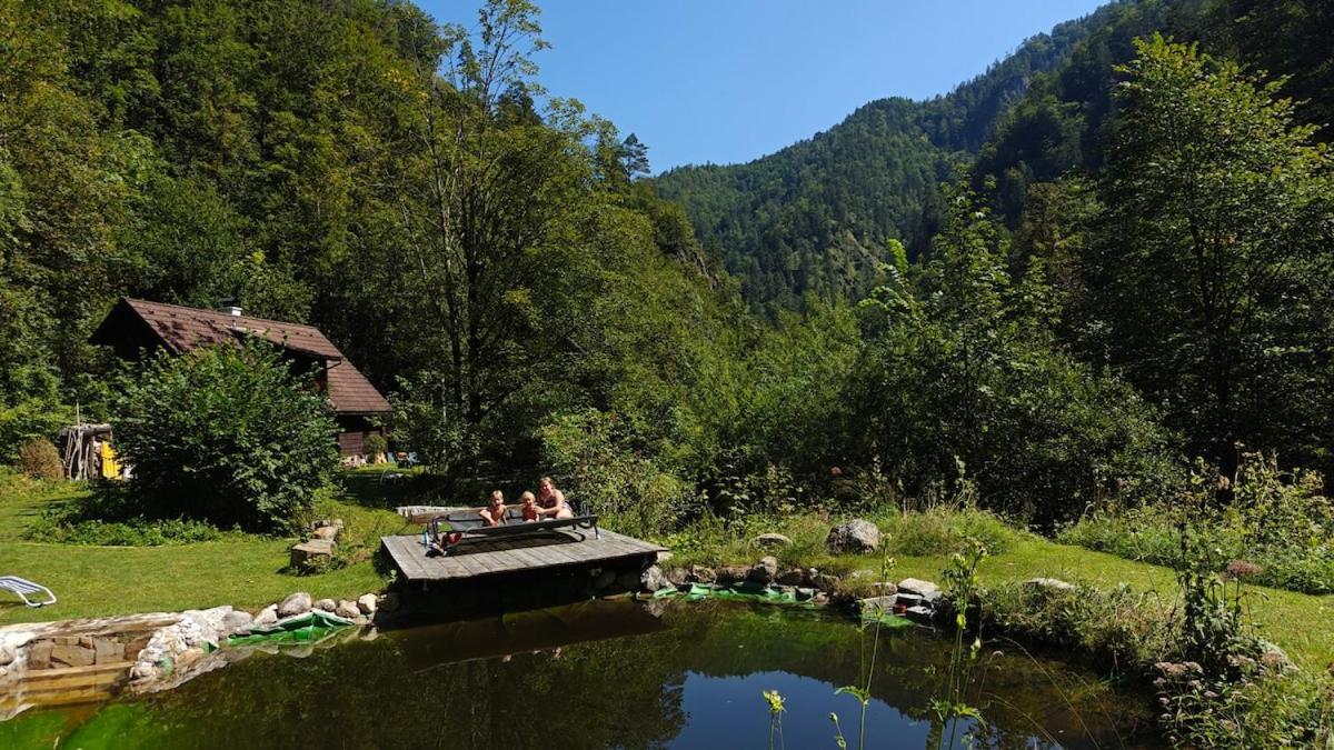 Idyllic Mountain Huette -Gesaeuse Nationalpark Villa Landl  Dış mekan fotoğraf